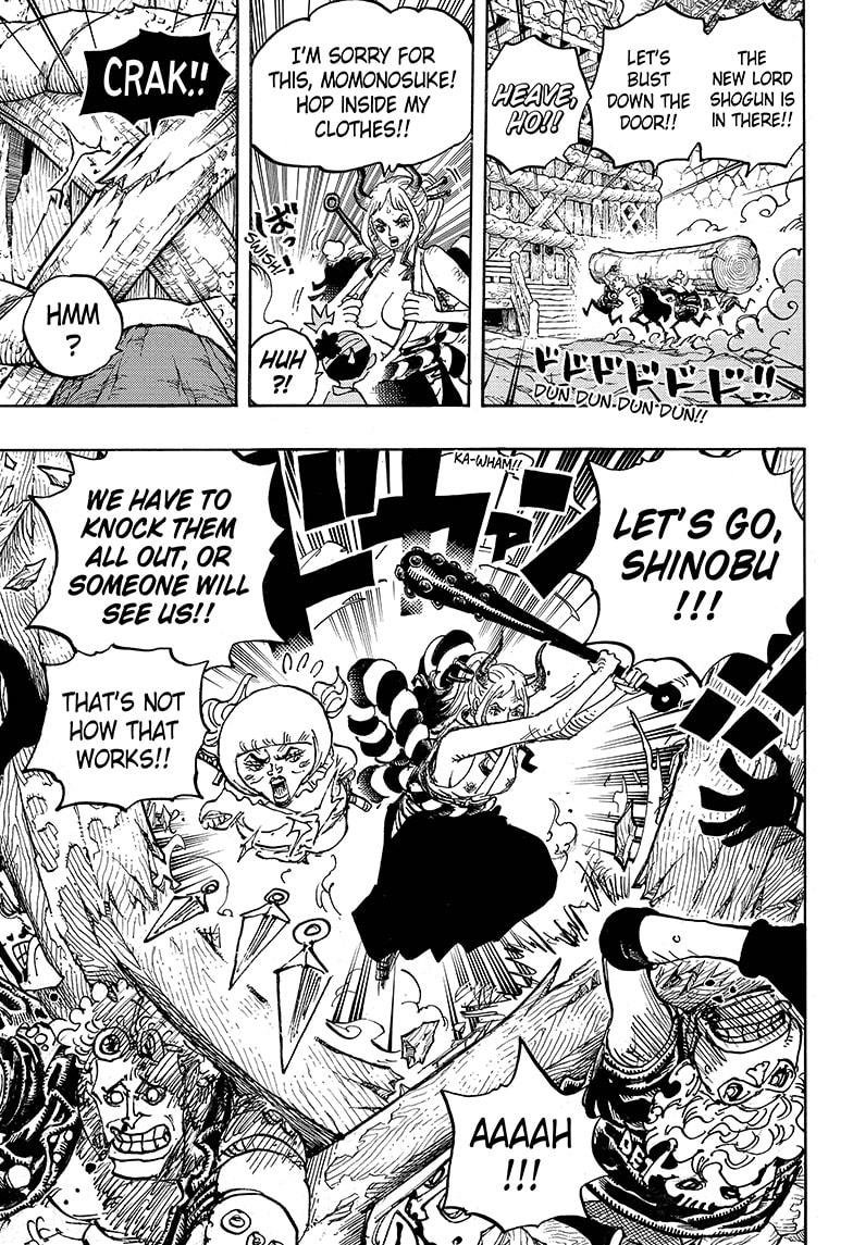  One Piece, Chapter 1005 image 14