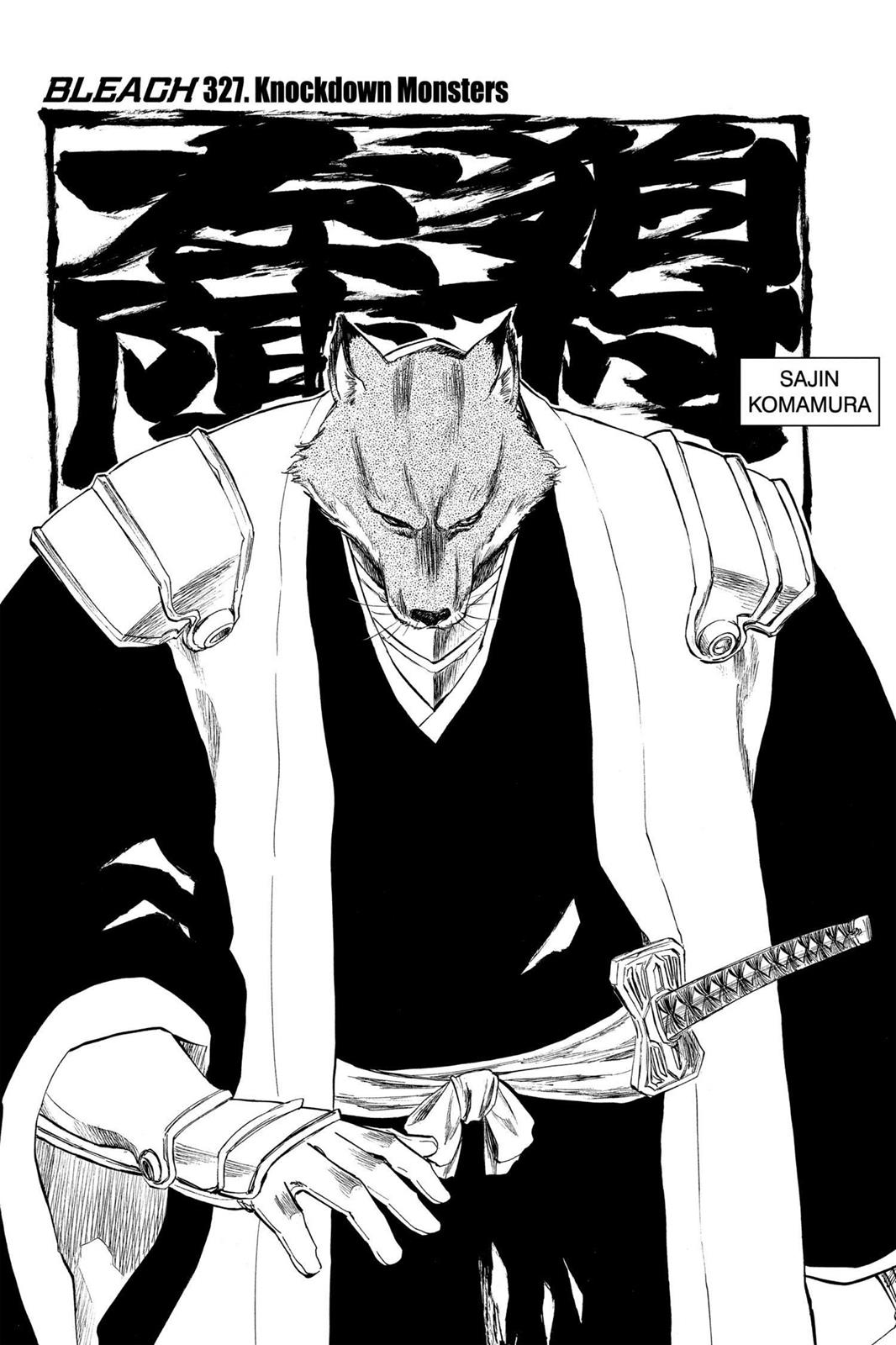 Bleach, Chapter 327 image 011