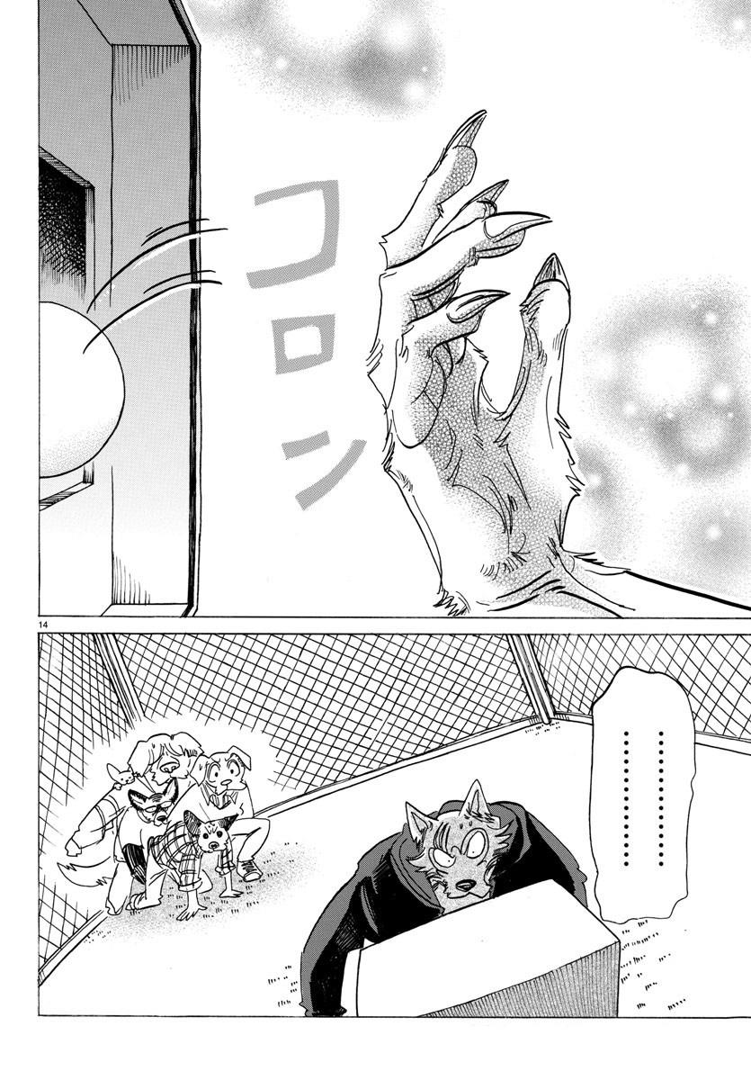 Beastars Manga, Chapter 123 image 015