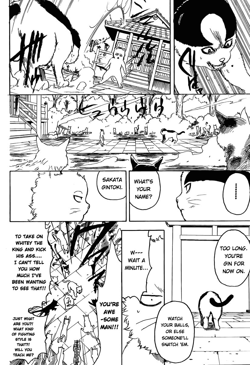 Gintama Chapter, 275 image 014