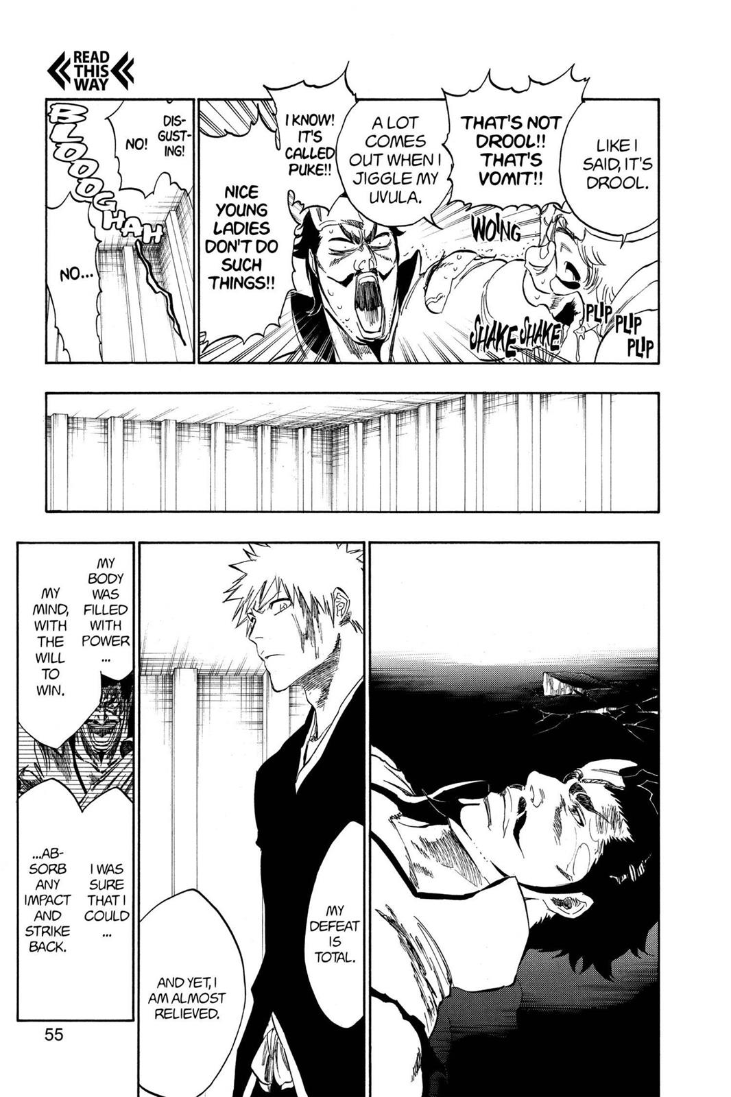 Bleach, Chapter 254 image 005