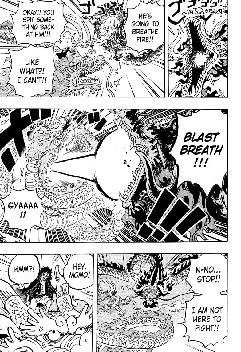 One Piece, Chapter 1026 image 05