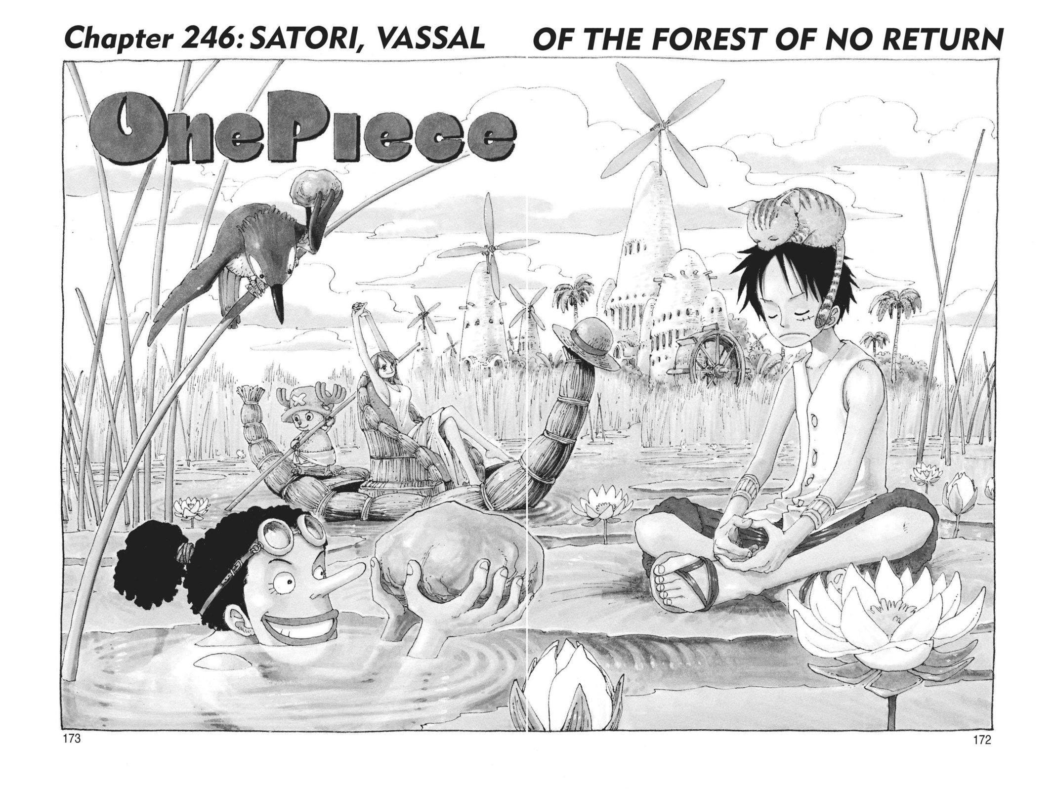  One Piece, Chapter 246 image 01