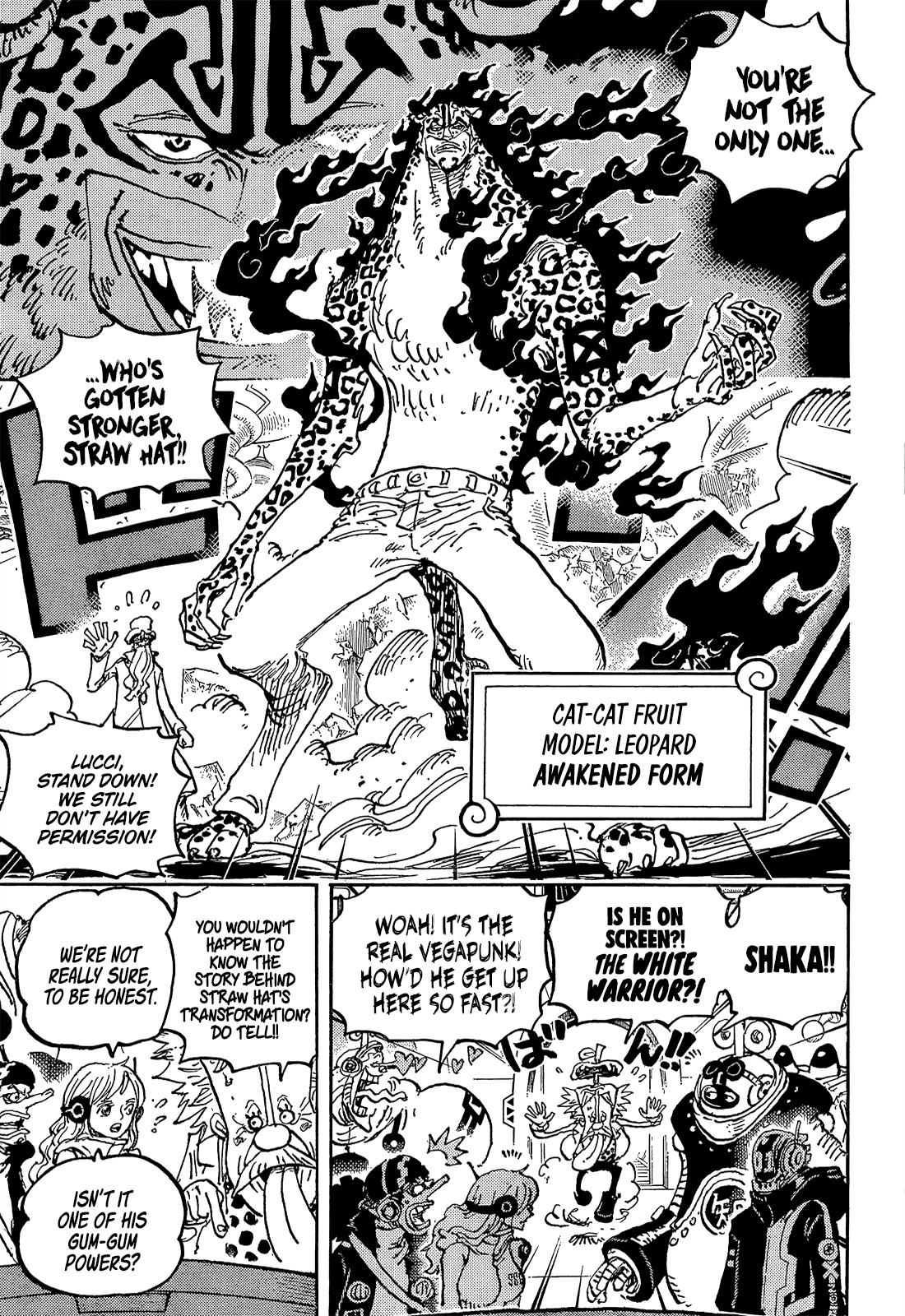  One Piece, Chapter 1069 image 08