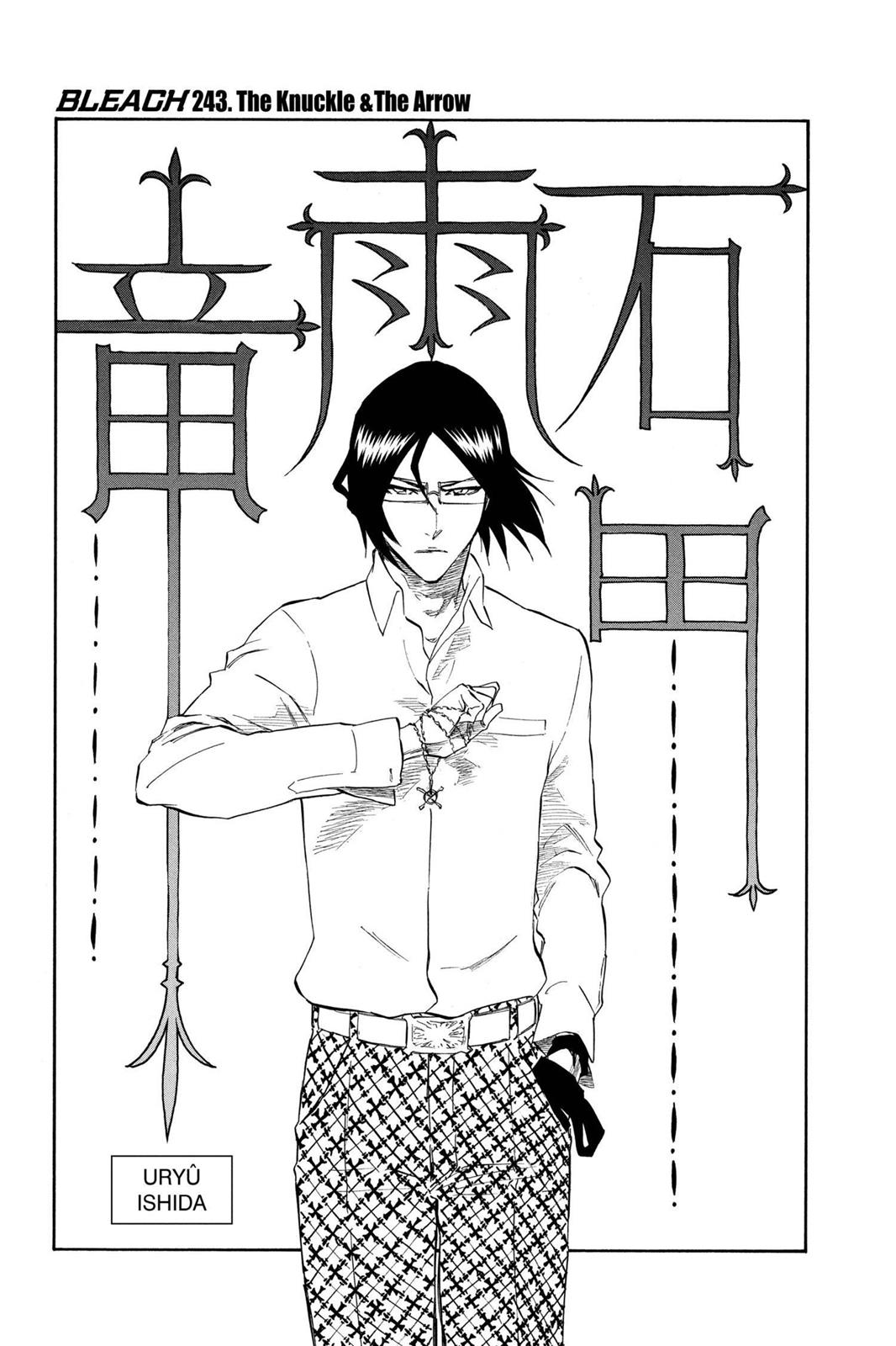 Bleach, Chapter 243 image 011