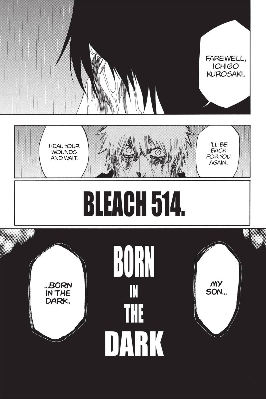 Bleach, Chapter 514 image 017