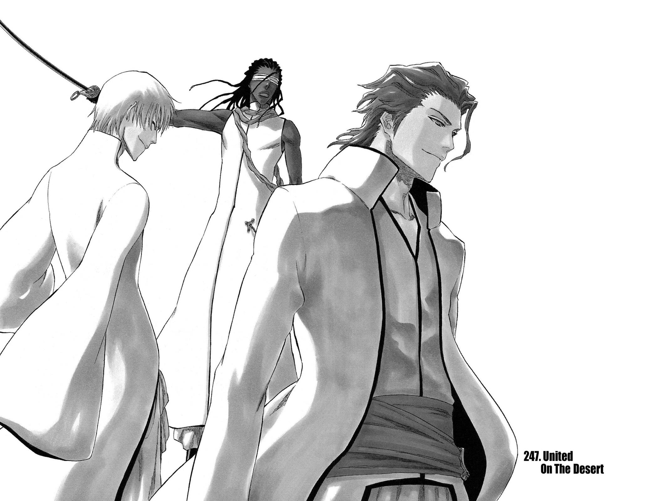 Bleach, Chapter 247 image 003