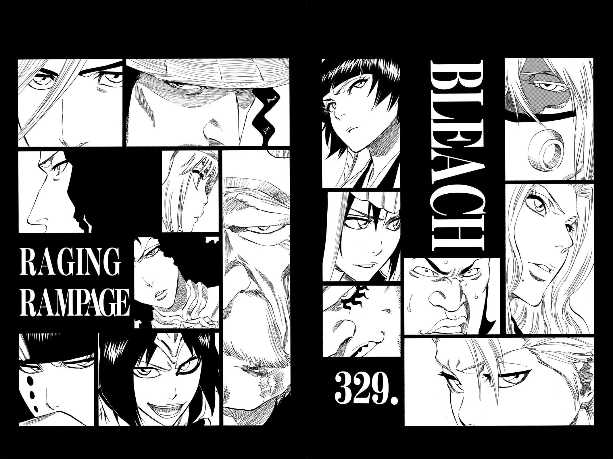Bleach, Chapter 329 image 008
