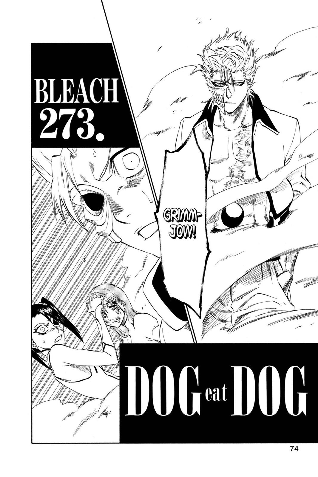 Bleach, Chapter 273 image 002