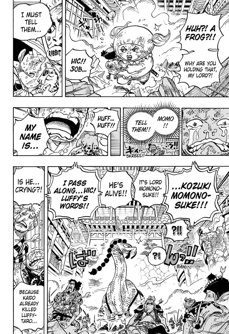  One Piece, Chapter 1015 image 11