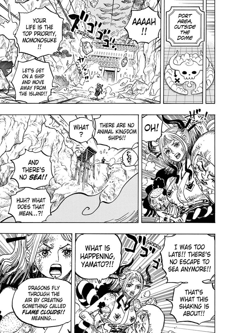  One Piece, Chapter 997 image 15