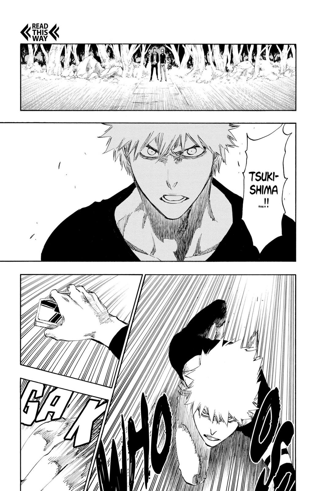 Bleach, Chapter 455 image 003