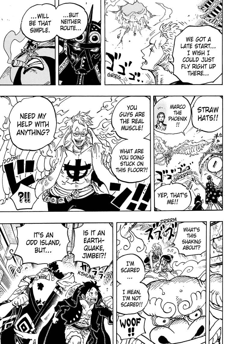  One Piece, Chapter 997 image 13