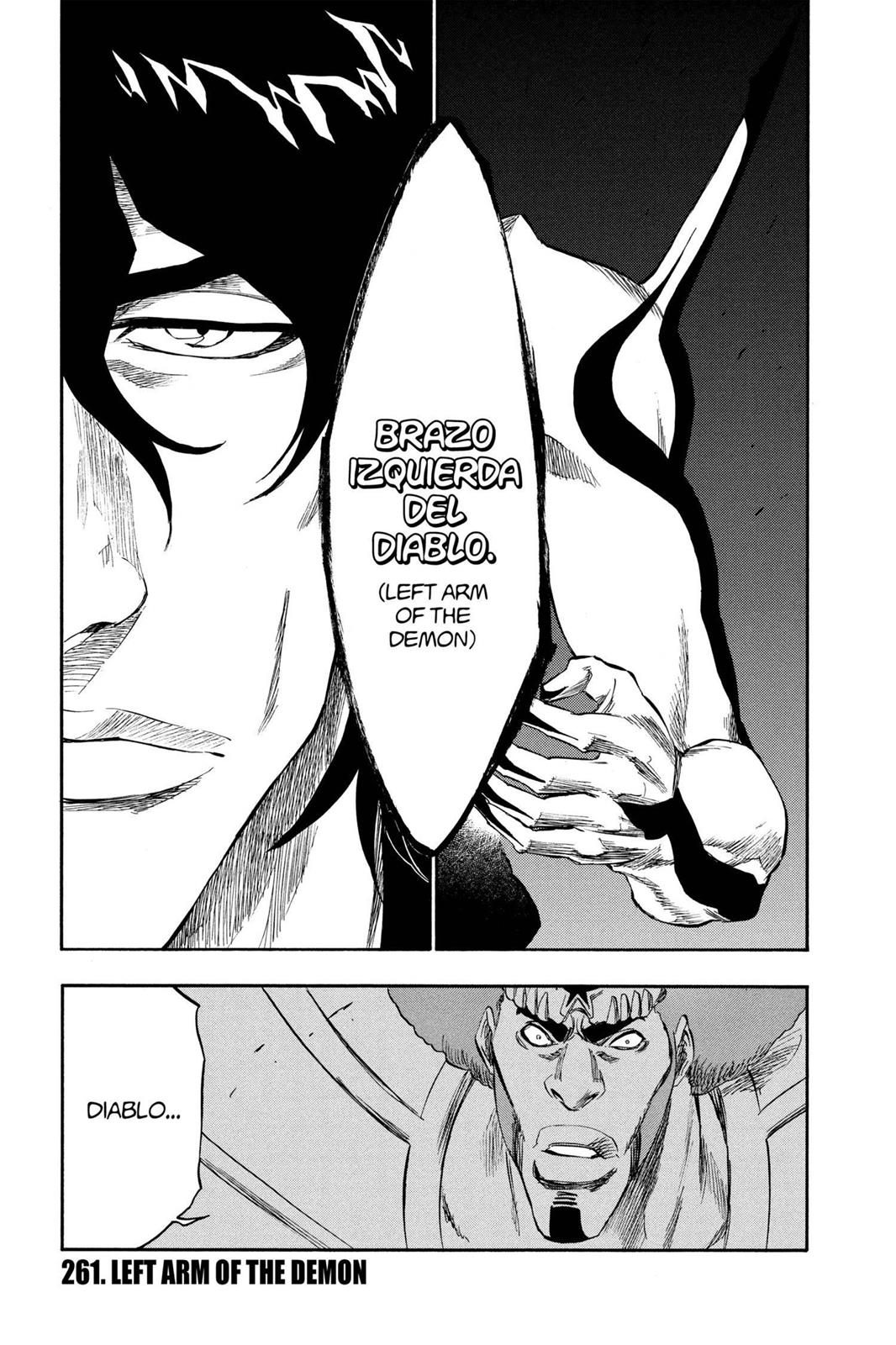 Bleach, Chapter 261 image 007