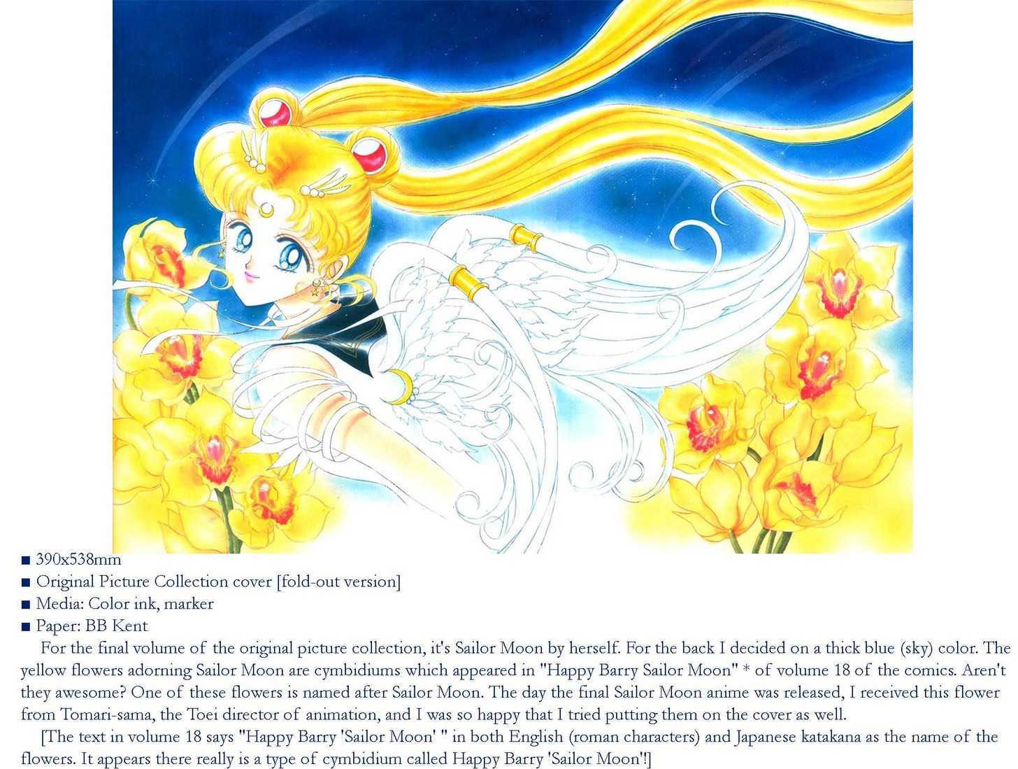 Sailor Moon, Cahpter 5 image 003