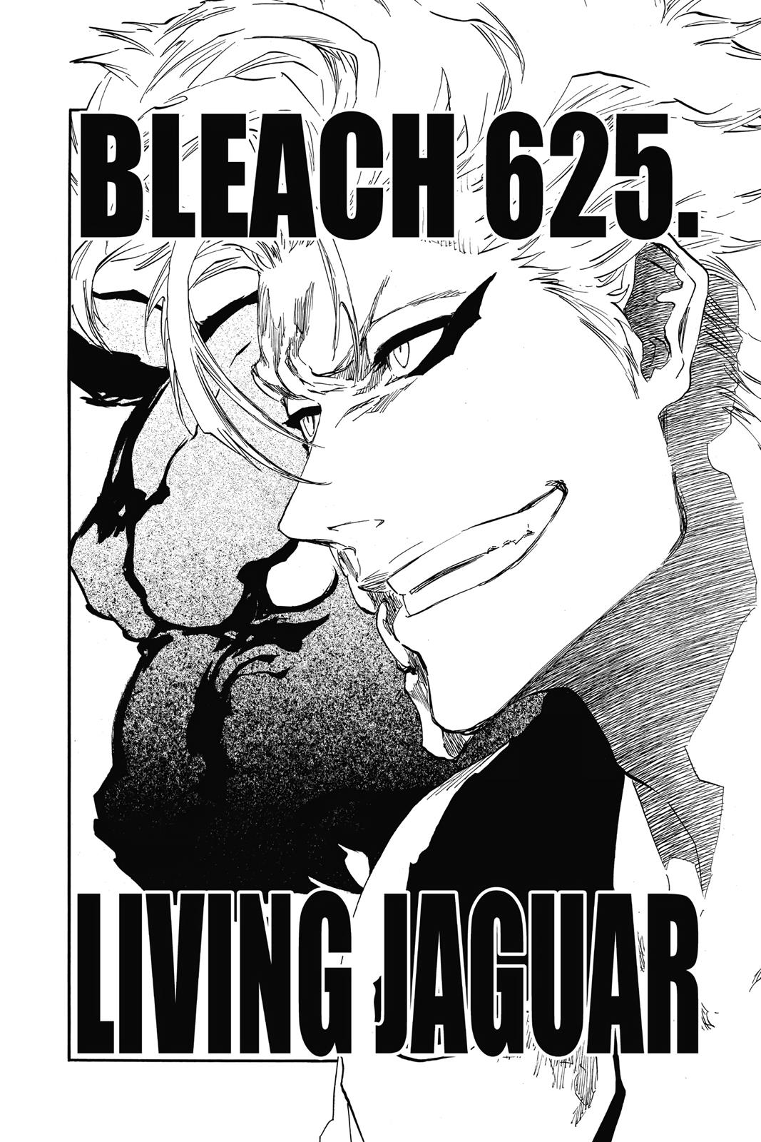 Bleach, Chapter 625 image 002