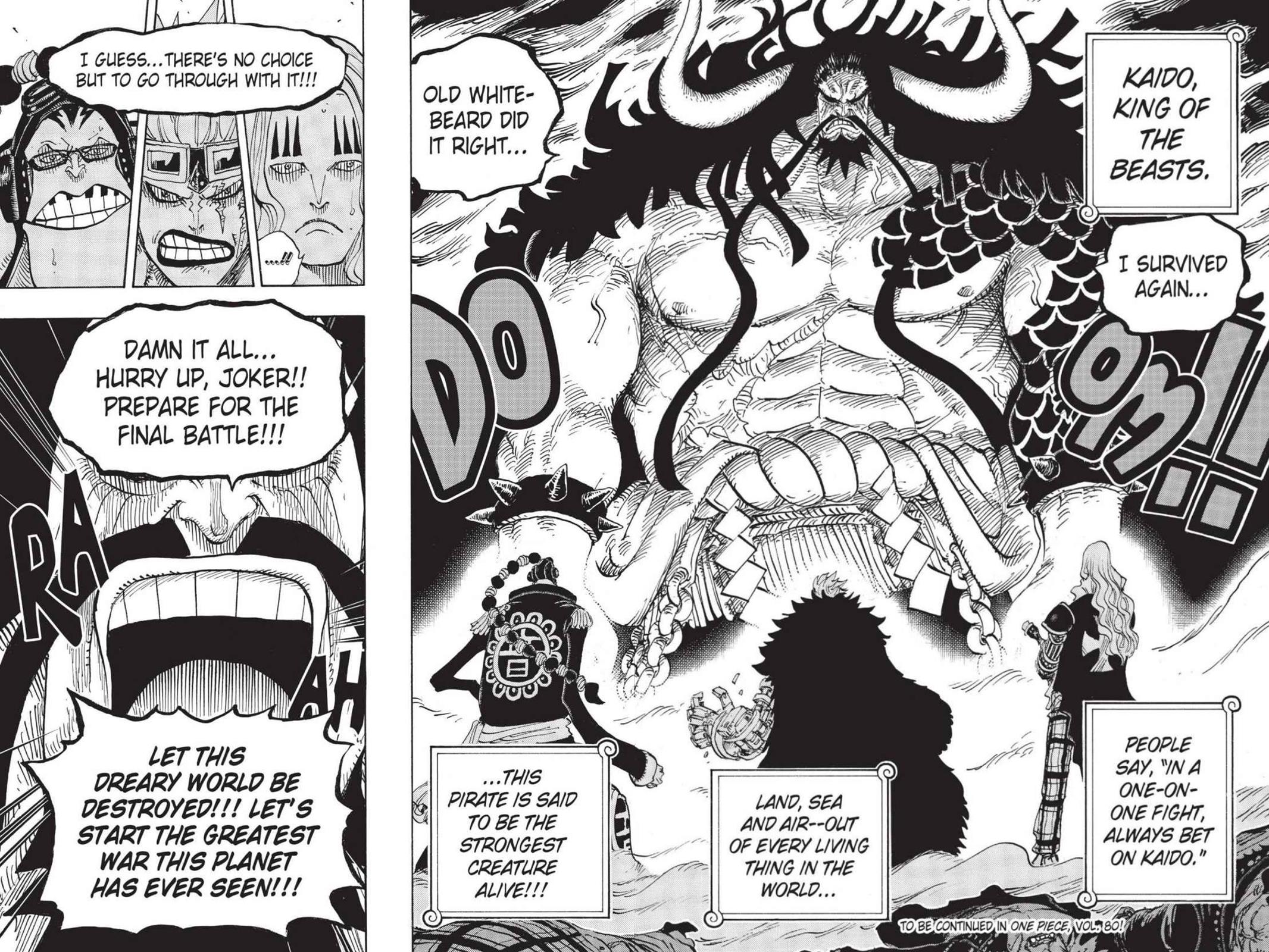 One Piece Chapter 795