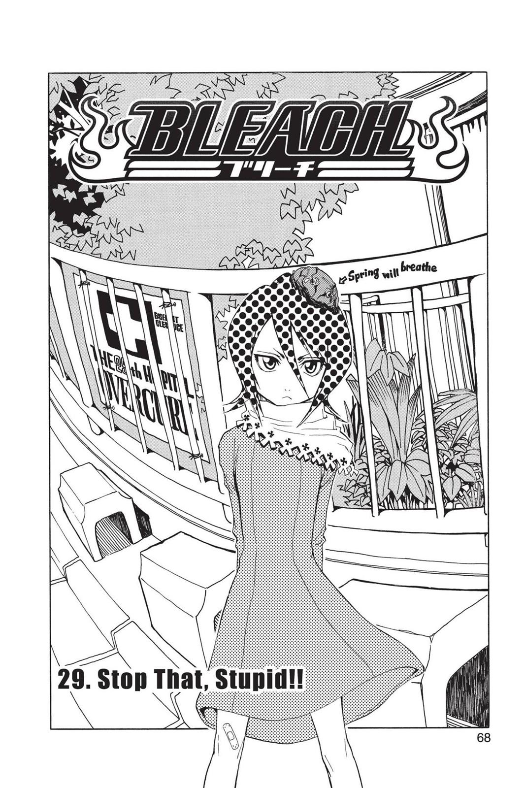 Bleach, Chapter 29 image 002