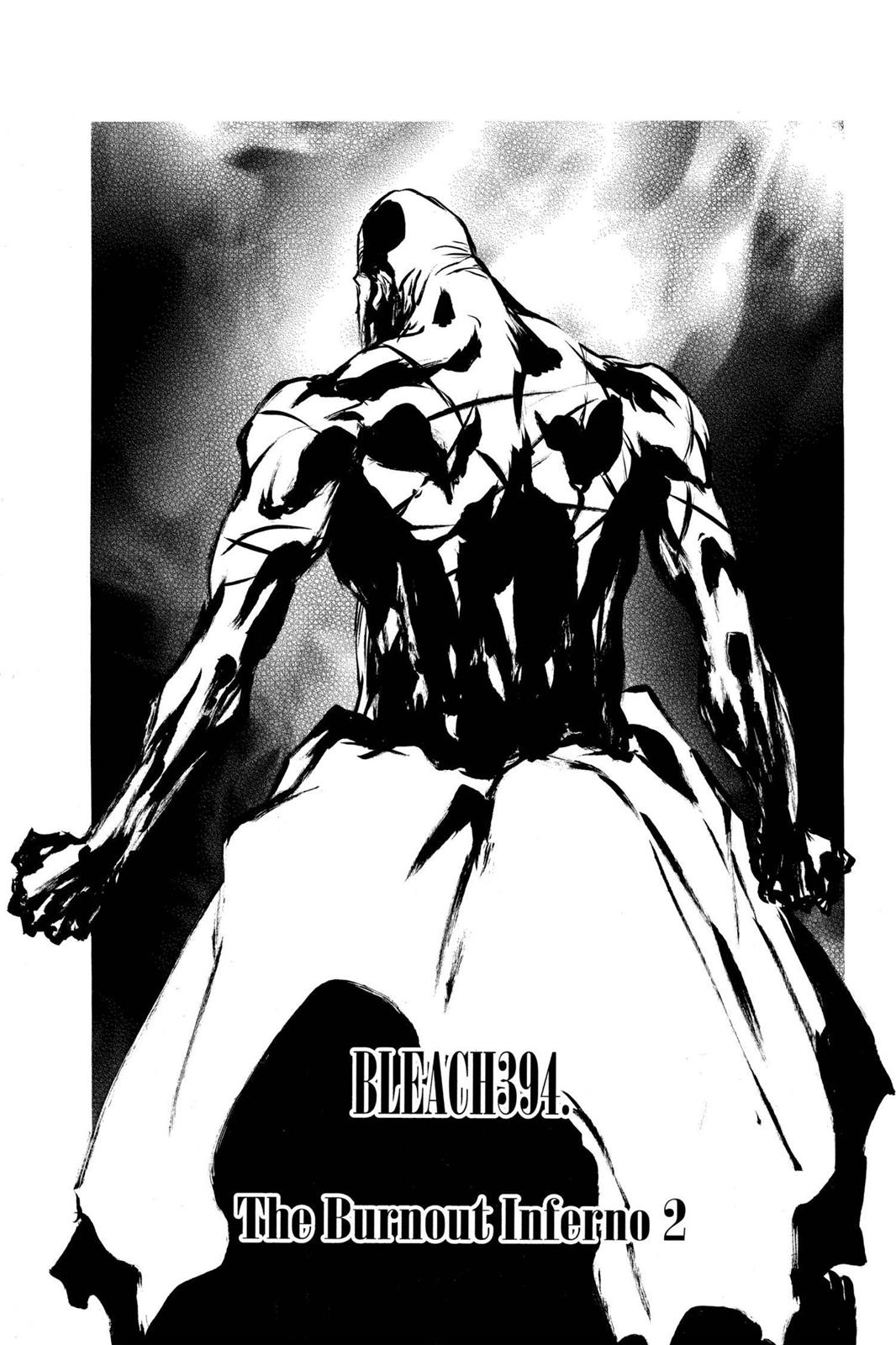 Bleach, Chapter 394 image 004