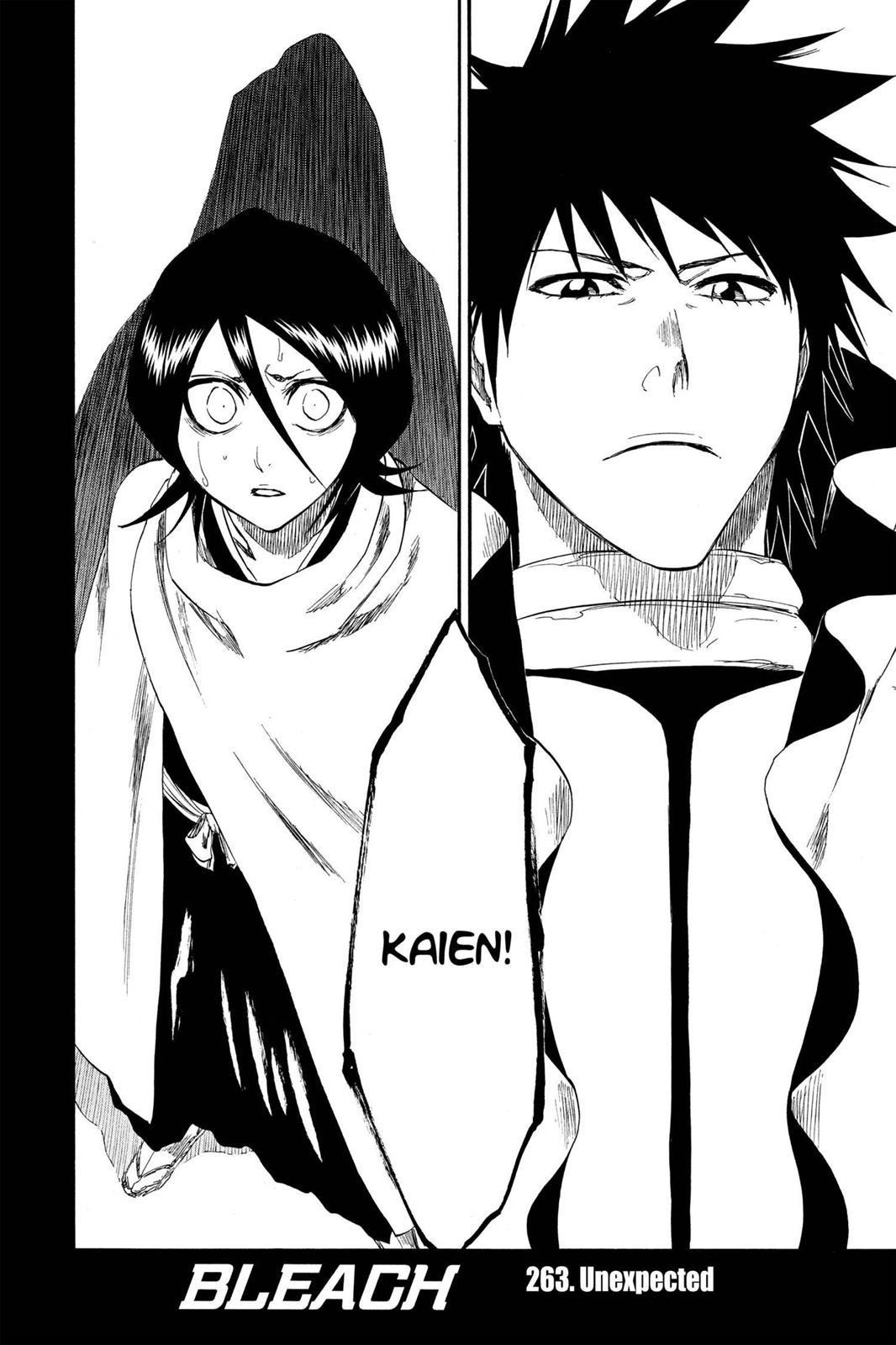 Bleach, Chapter 263 image 002