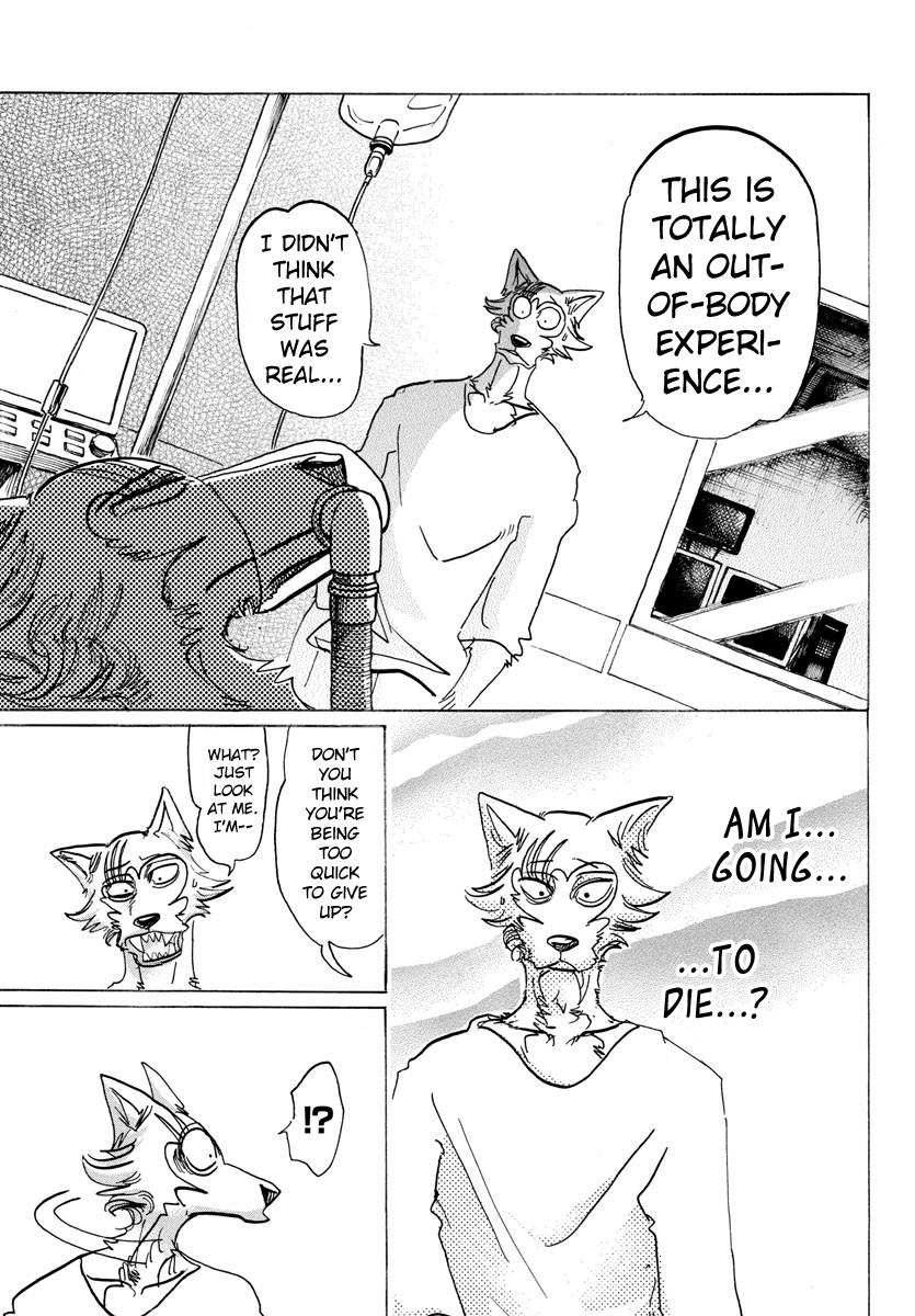 Beastars Manga, Chapter 132 image 017