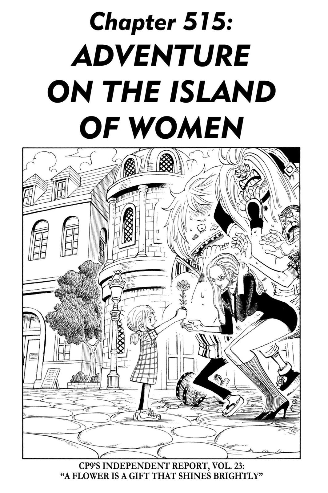  One Piece, Chapter 515 image 01