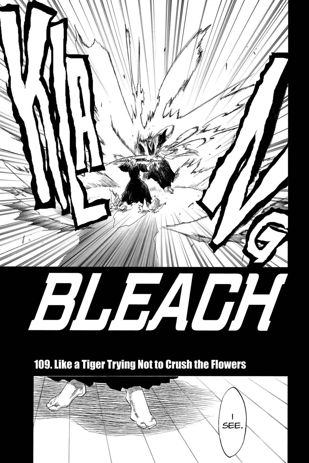 Bleach, Chapter 109 image 005