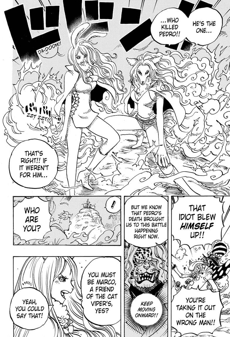  One Piece, Chapter 995 image 05